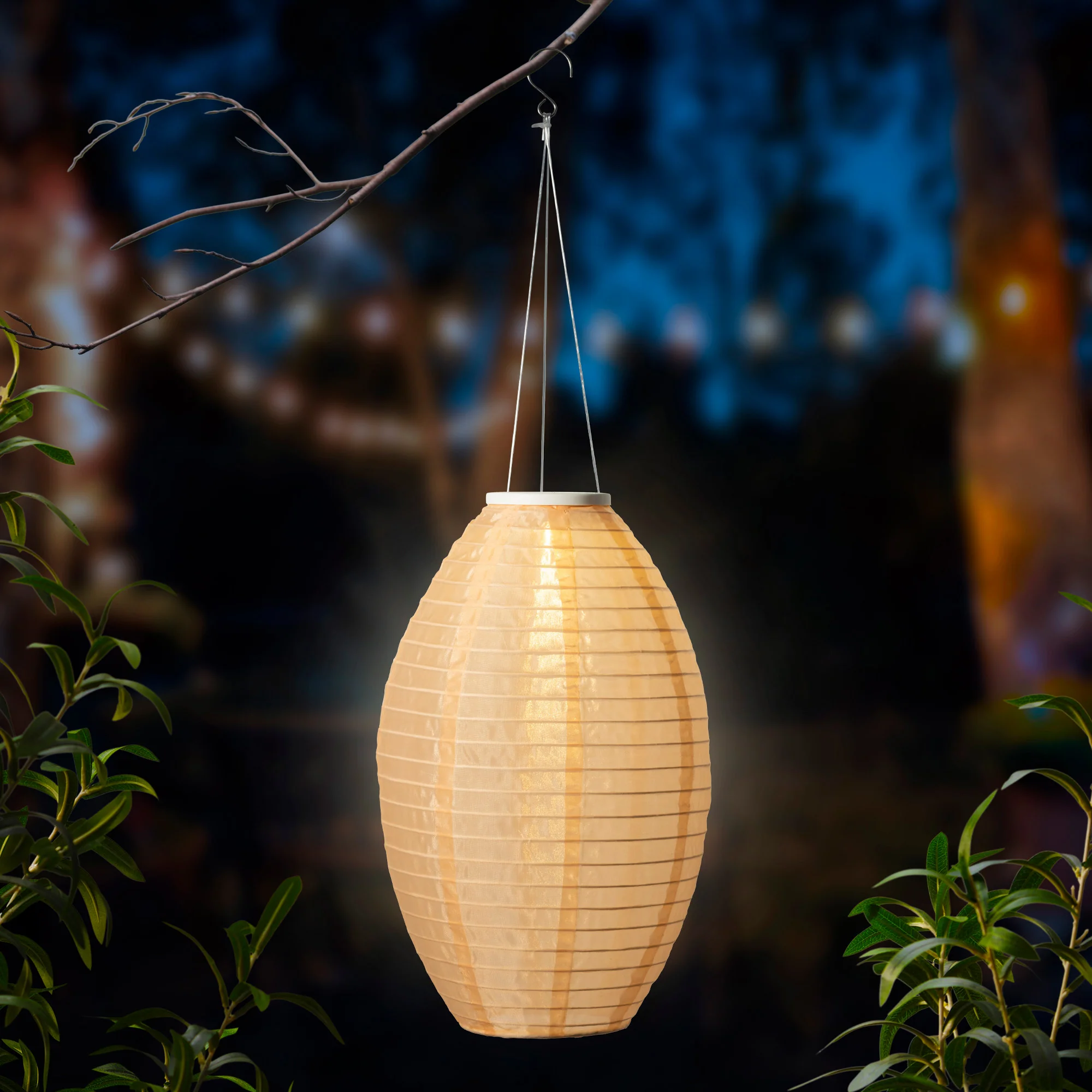 Solar lantern nylon - sold separately - Image 4