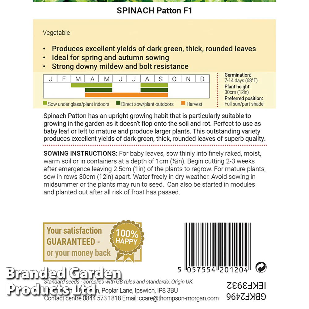 Spinach 'Patton' F1 - Image 2