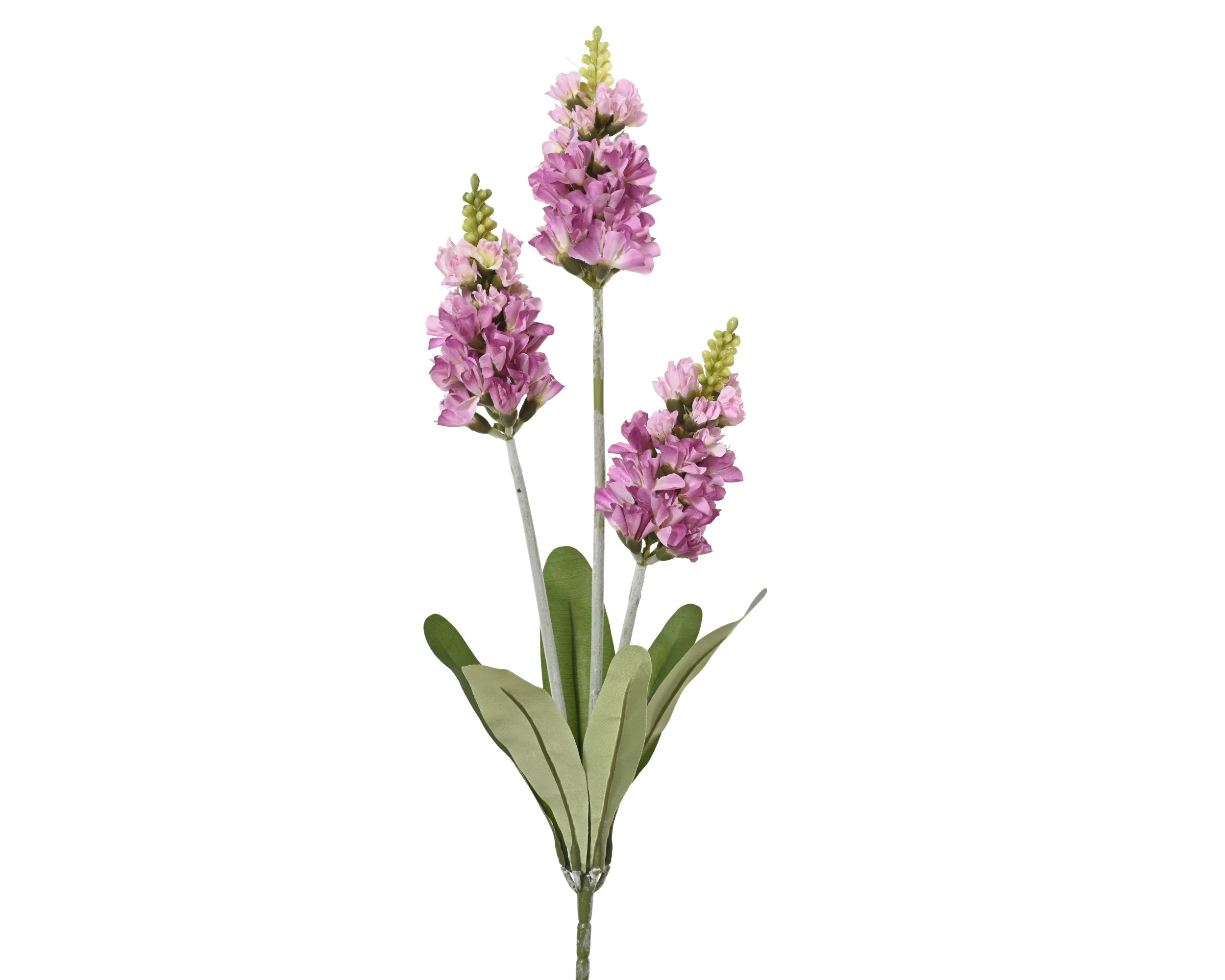 Spray lavender