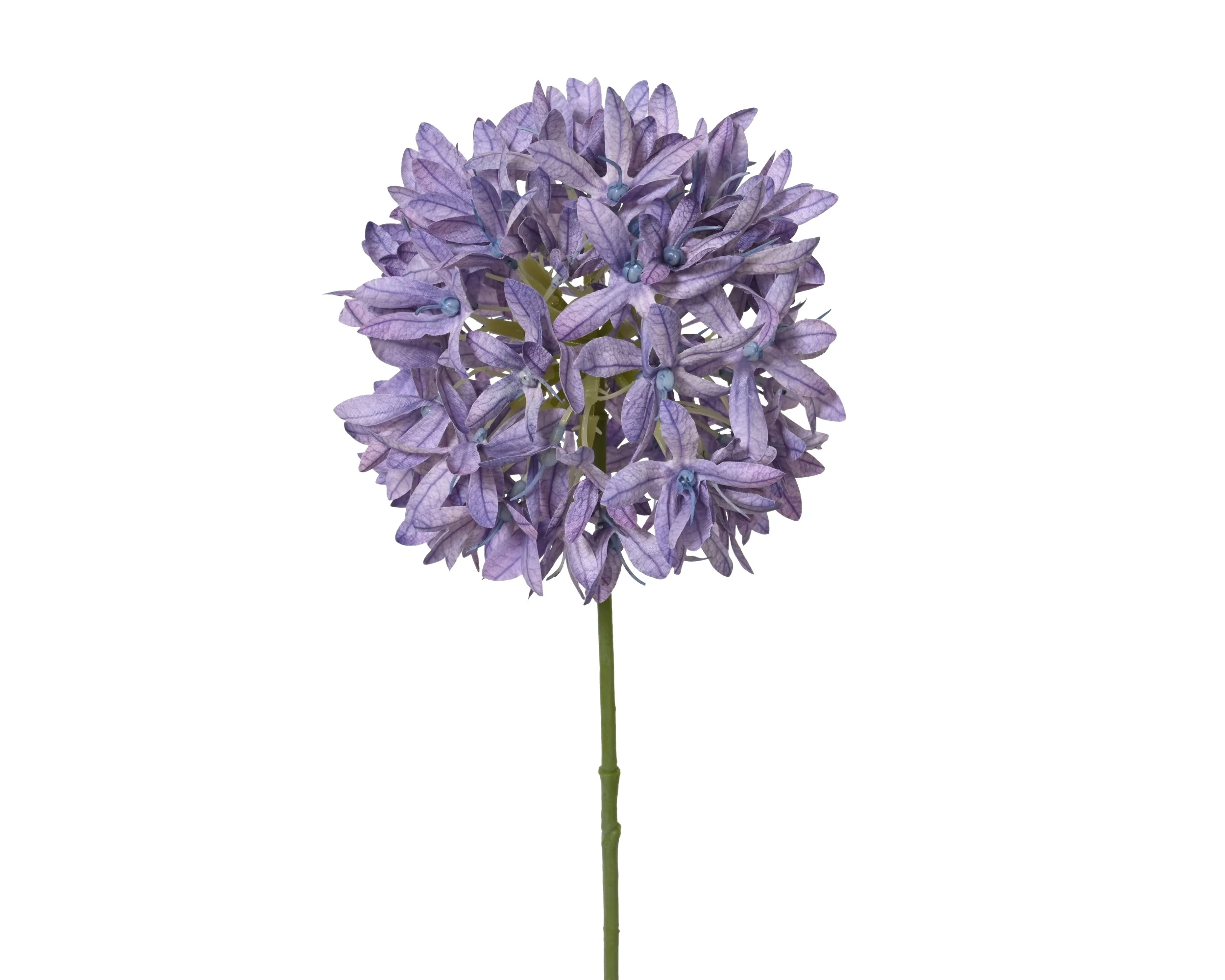 Spray petrea ball