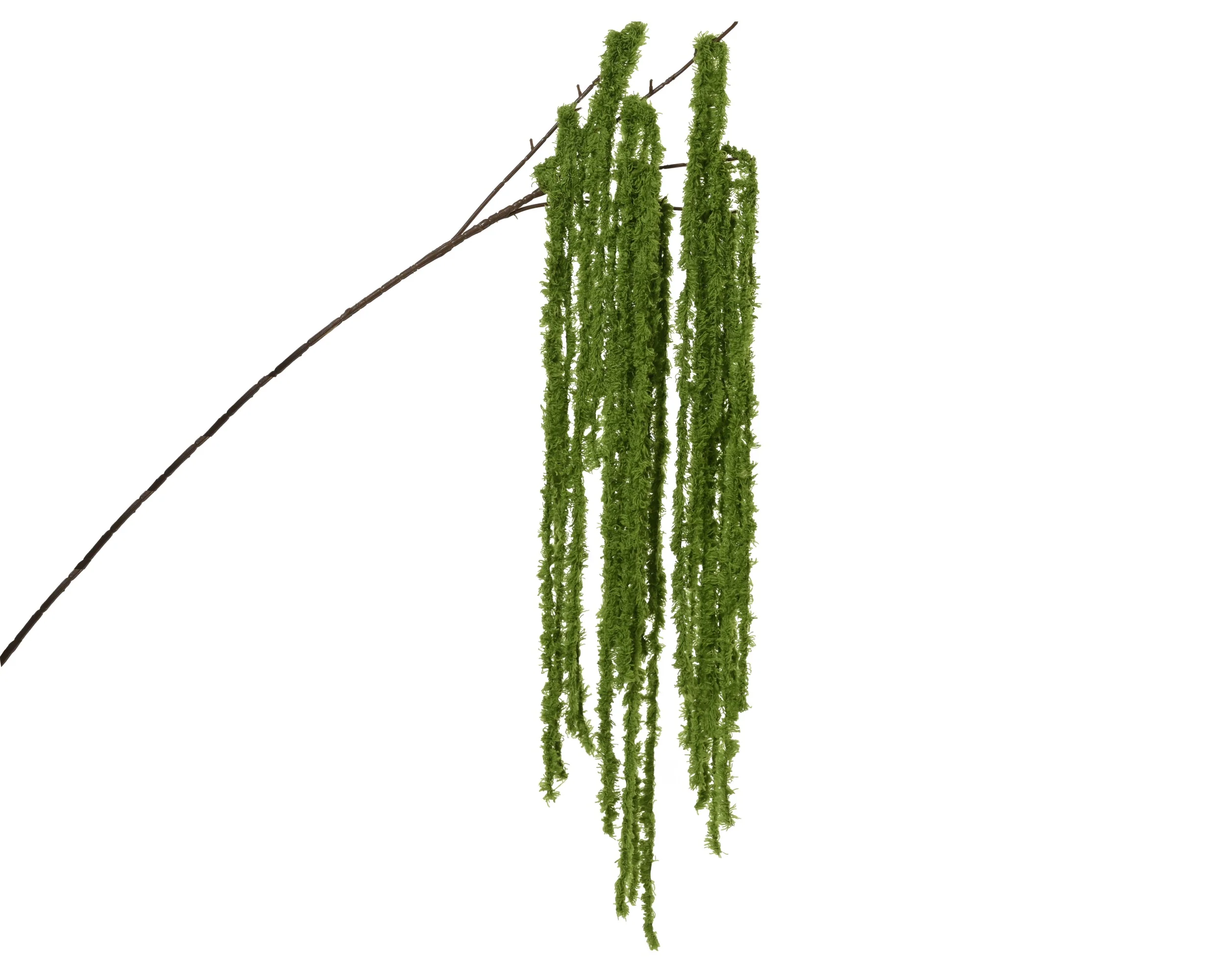 Spray stem green