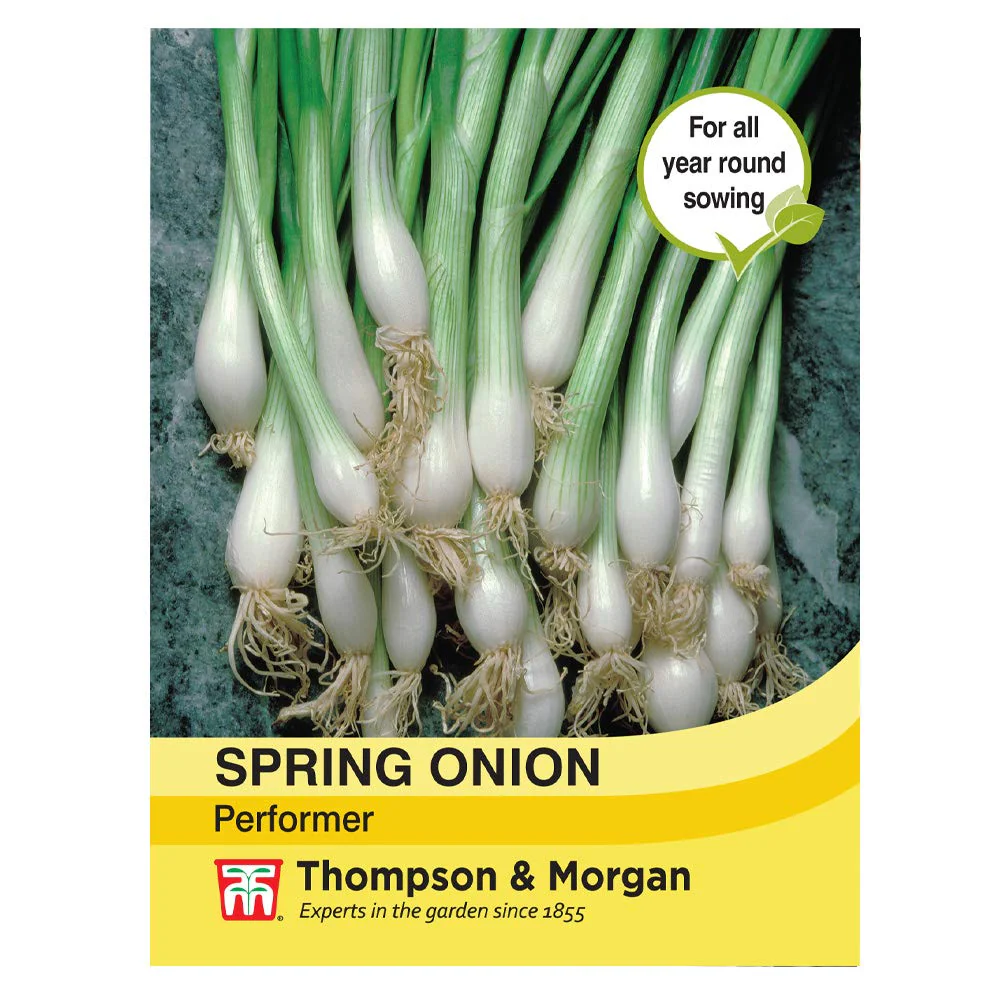 Spring Onion Performer