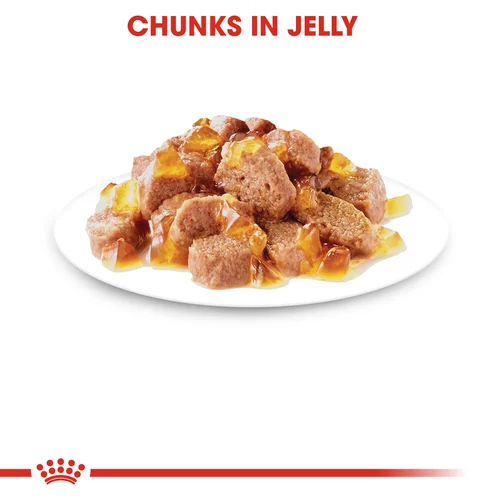 Royal Canin Sterilized Wet Cat Food in Jelly 85g - Image 5