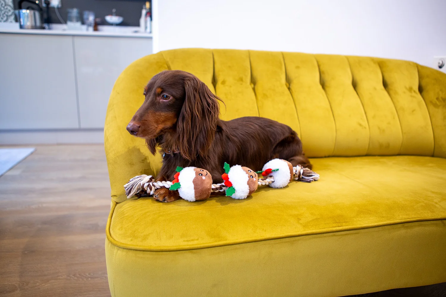String of Christmas Puds Rope Dog Toy - Image 2