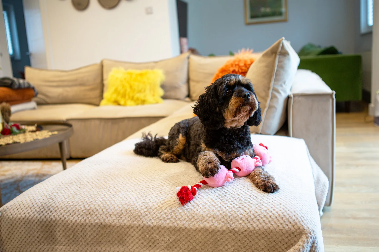 String of Piglets Rope Dog Toy - Image 4