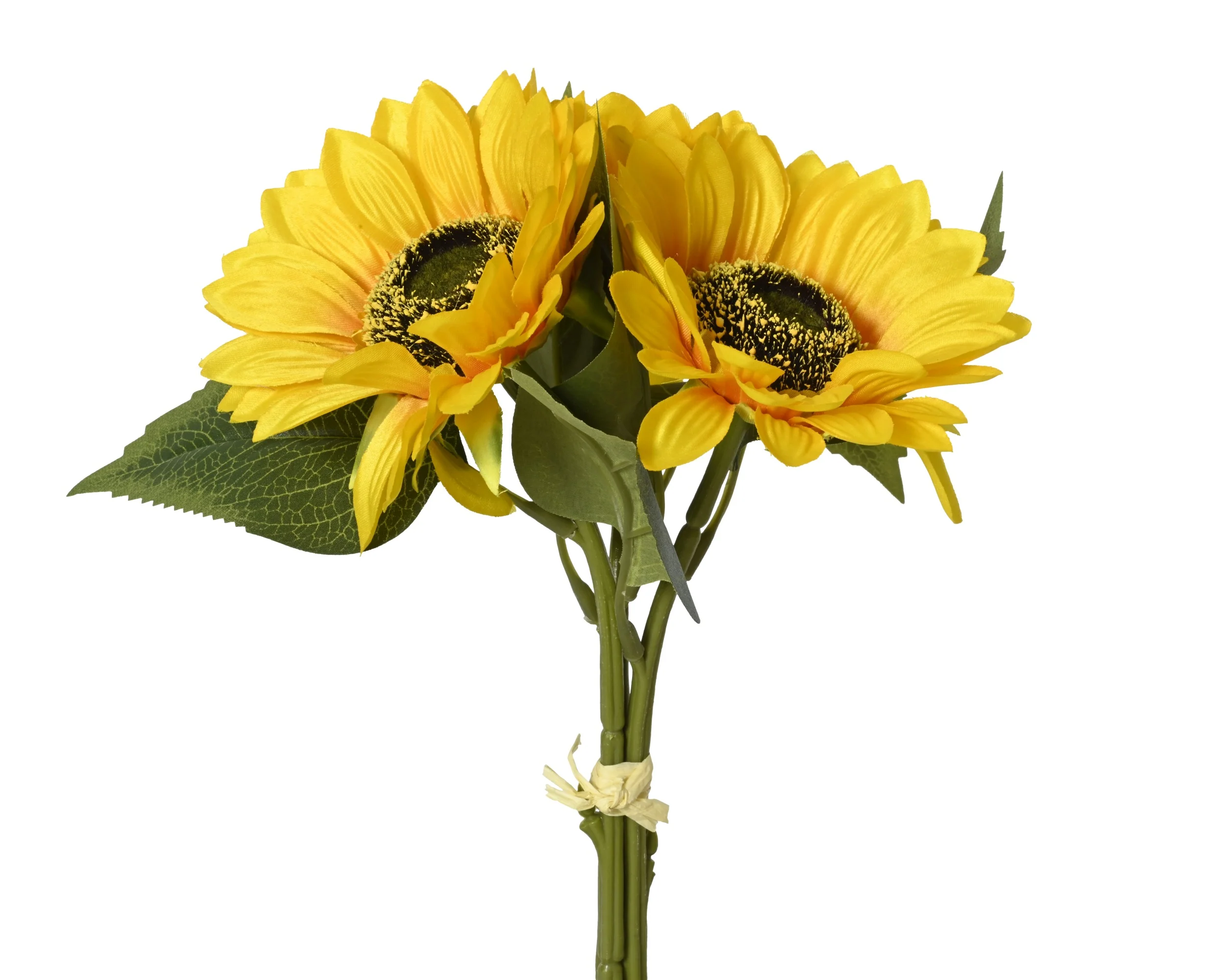 Sunflower stem