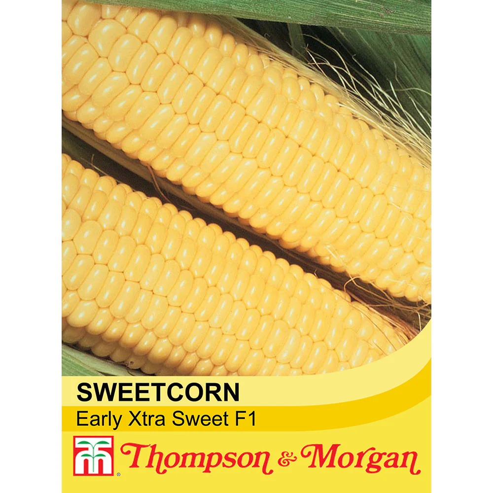 Sweet Corn Early Xtra Sw F1 Hy