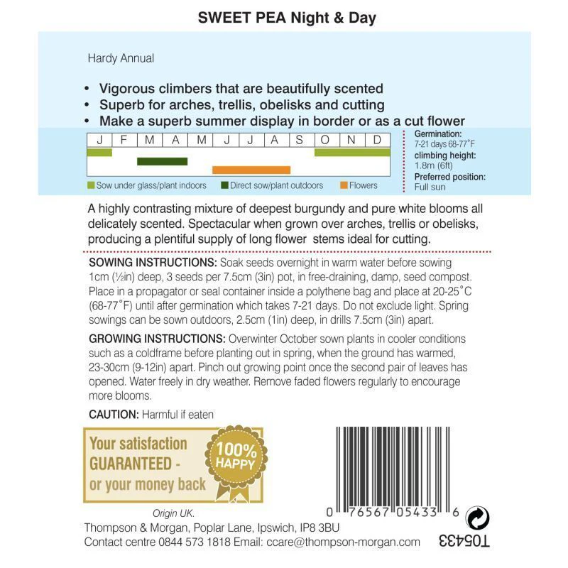 Sweet Pea Night & Day - Image 2