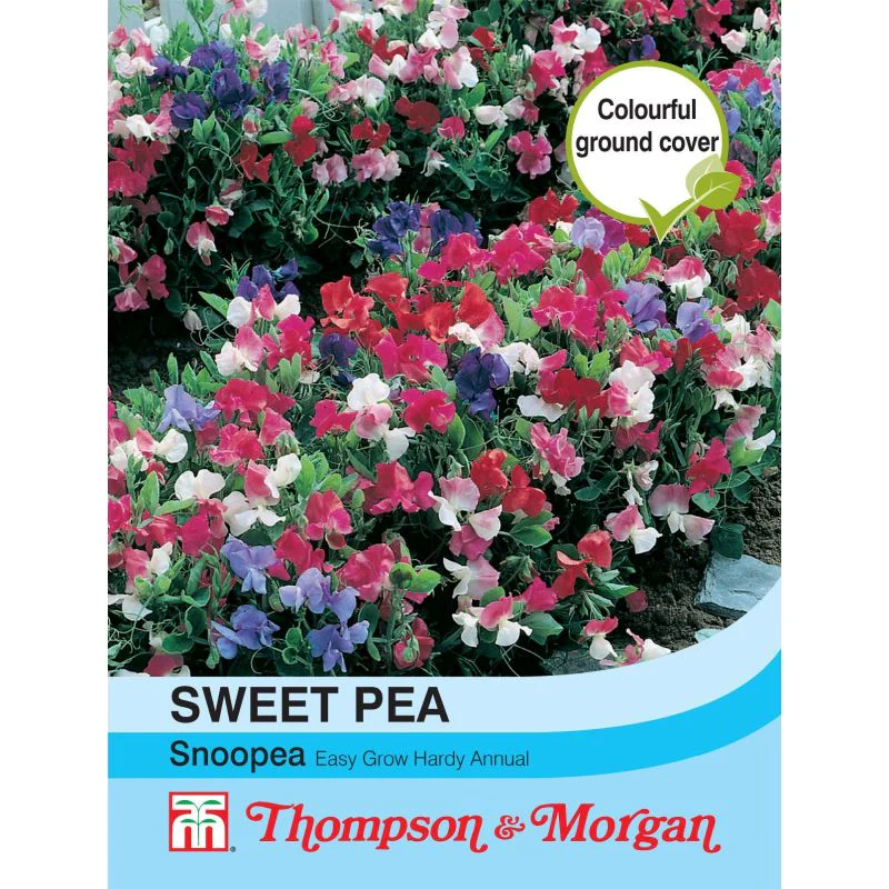 Sweet Pea Snoopea