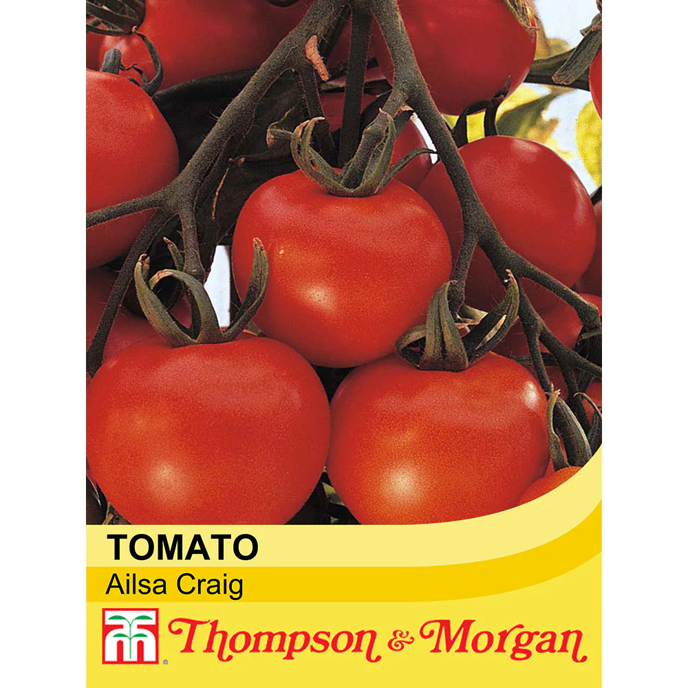 Tomato 'Ailsa Craig'