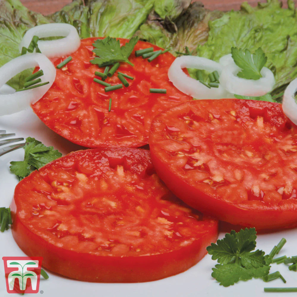 Tomato 'Buffalosteak' F1 Hybrid - Image 2