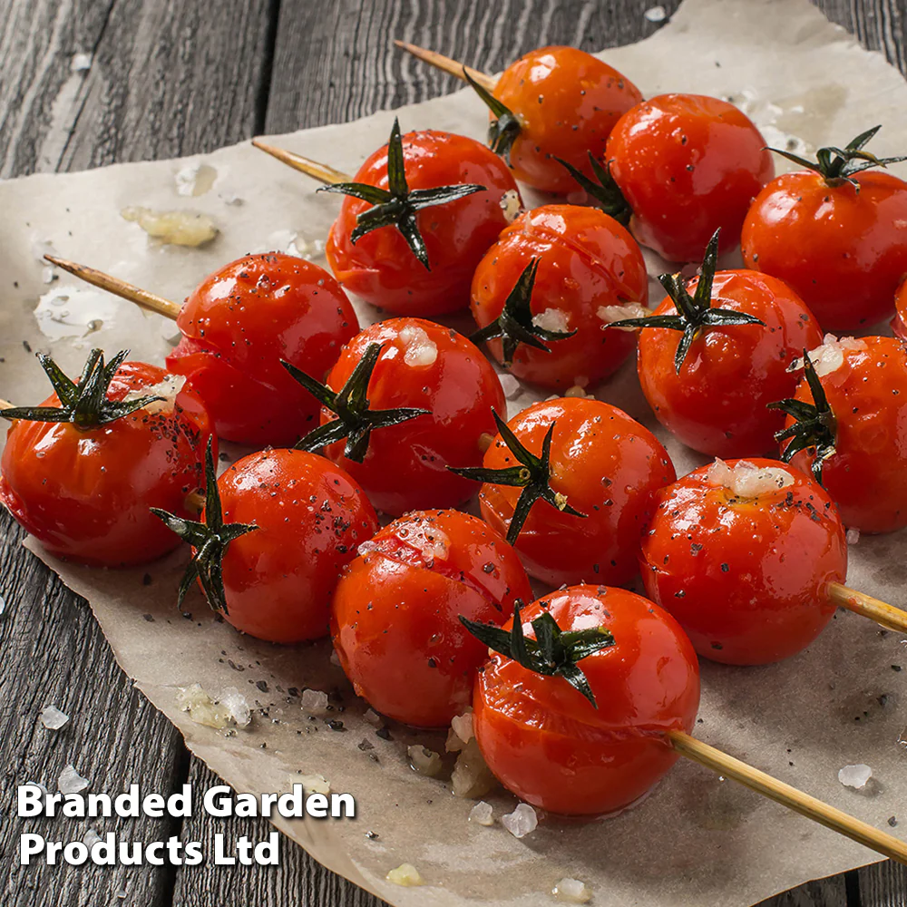 Tomato 'Consuelo' (Crimson Cherry) - Image 3
