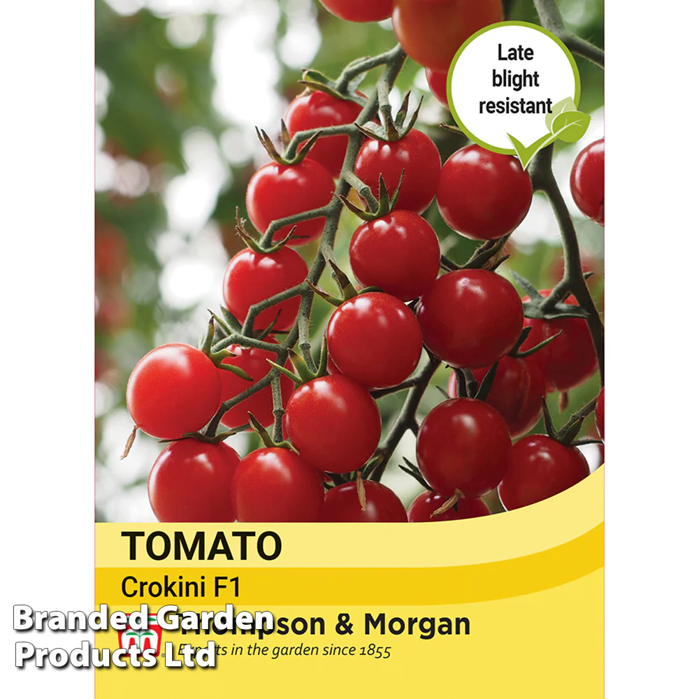Tomato Crokini F1