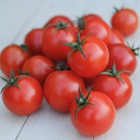 Tomato 'Gardener's Delight' - Image 3