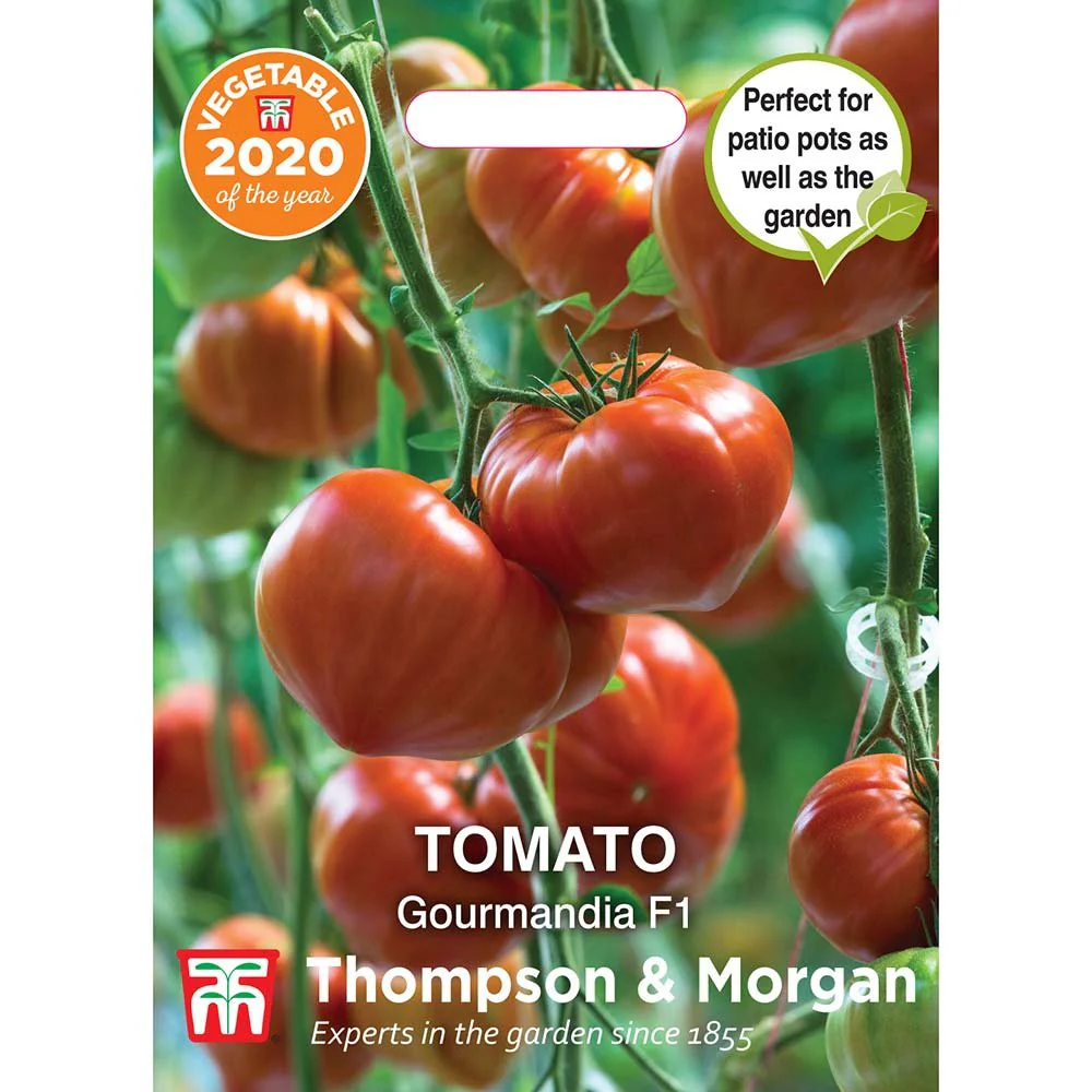 Tomato Gourmandia Hybrid - Image 2