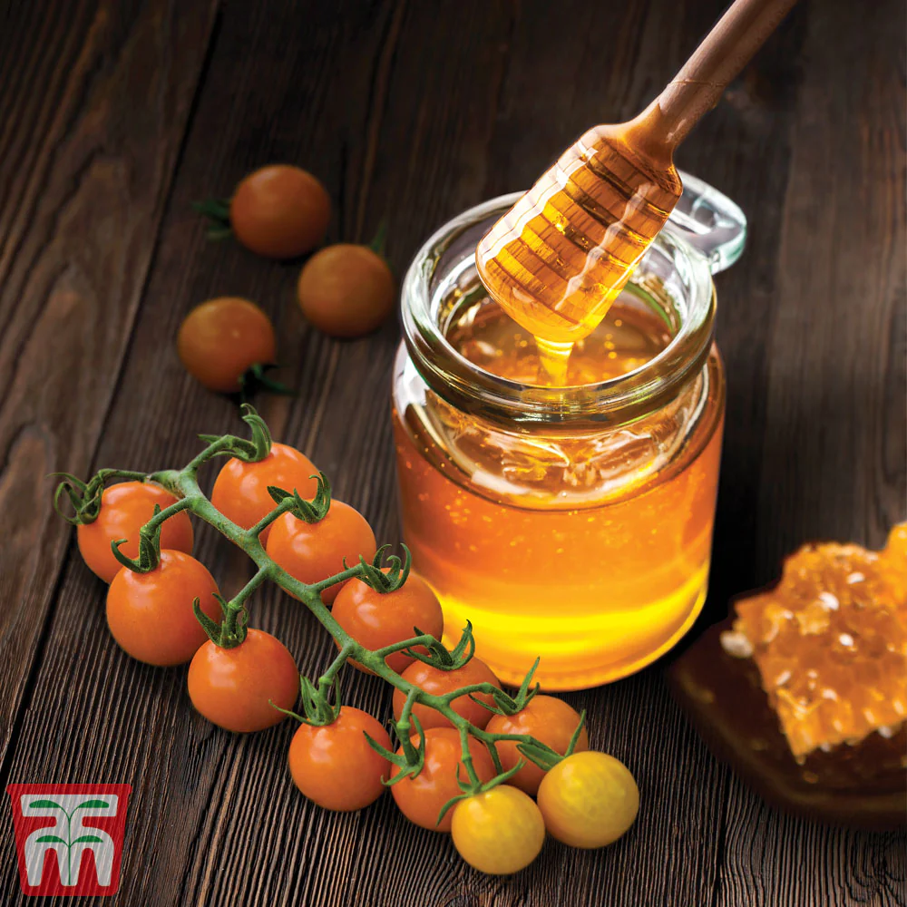 Tomato 'Honeycomb'