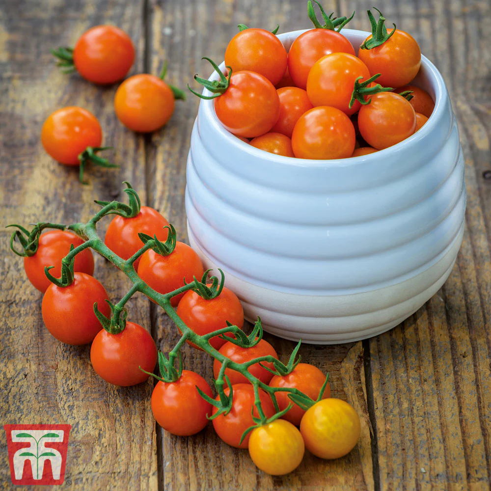 Tomato 'Honeycomb' - Image 3