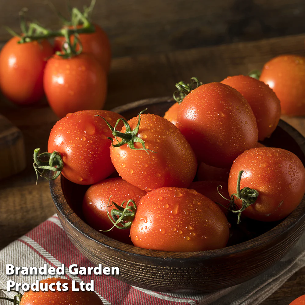 Tomato 'Nagina' F1 - Image 2