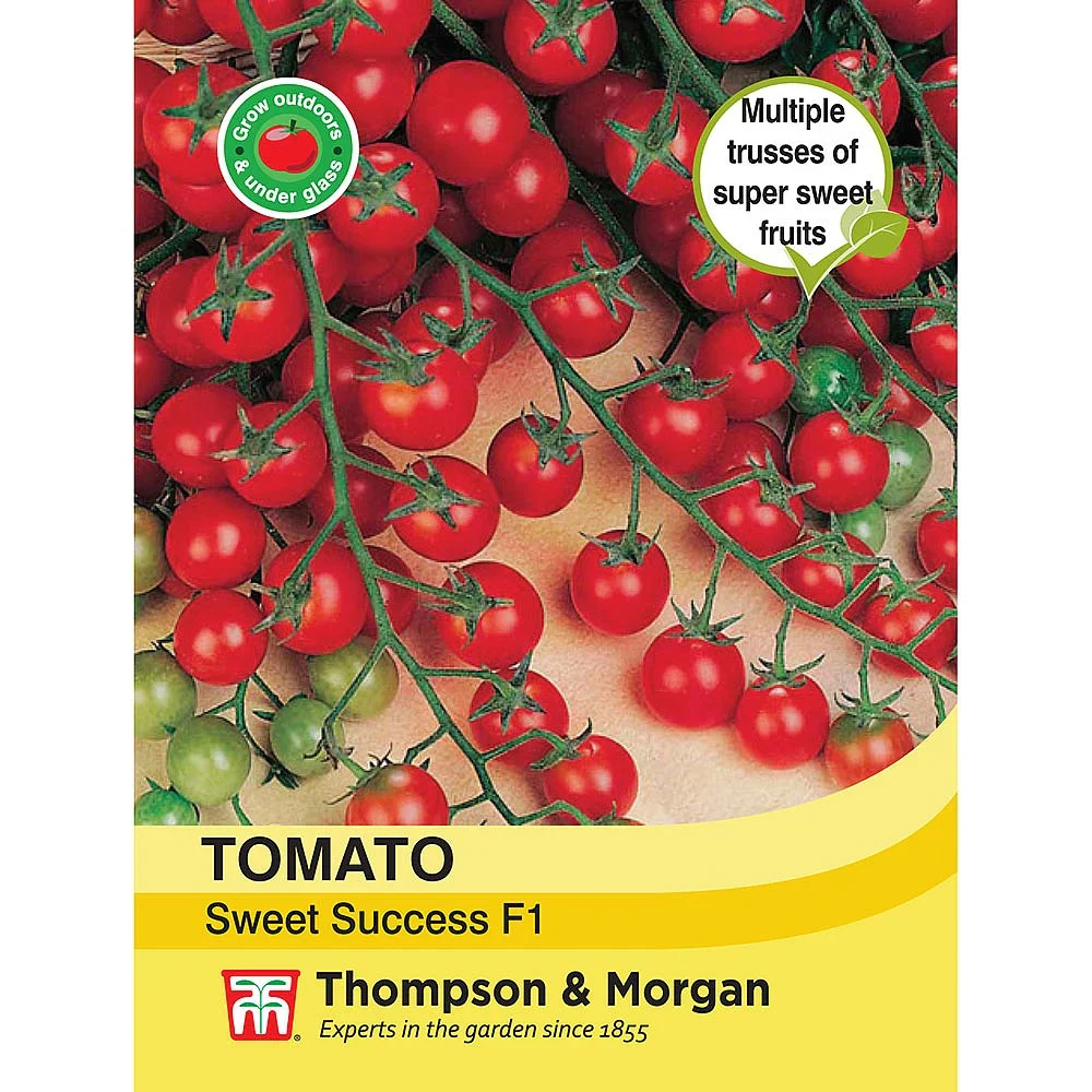 Tomato Sweet Success
