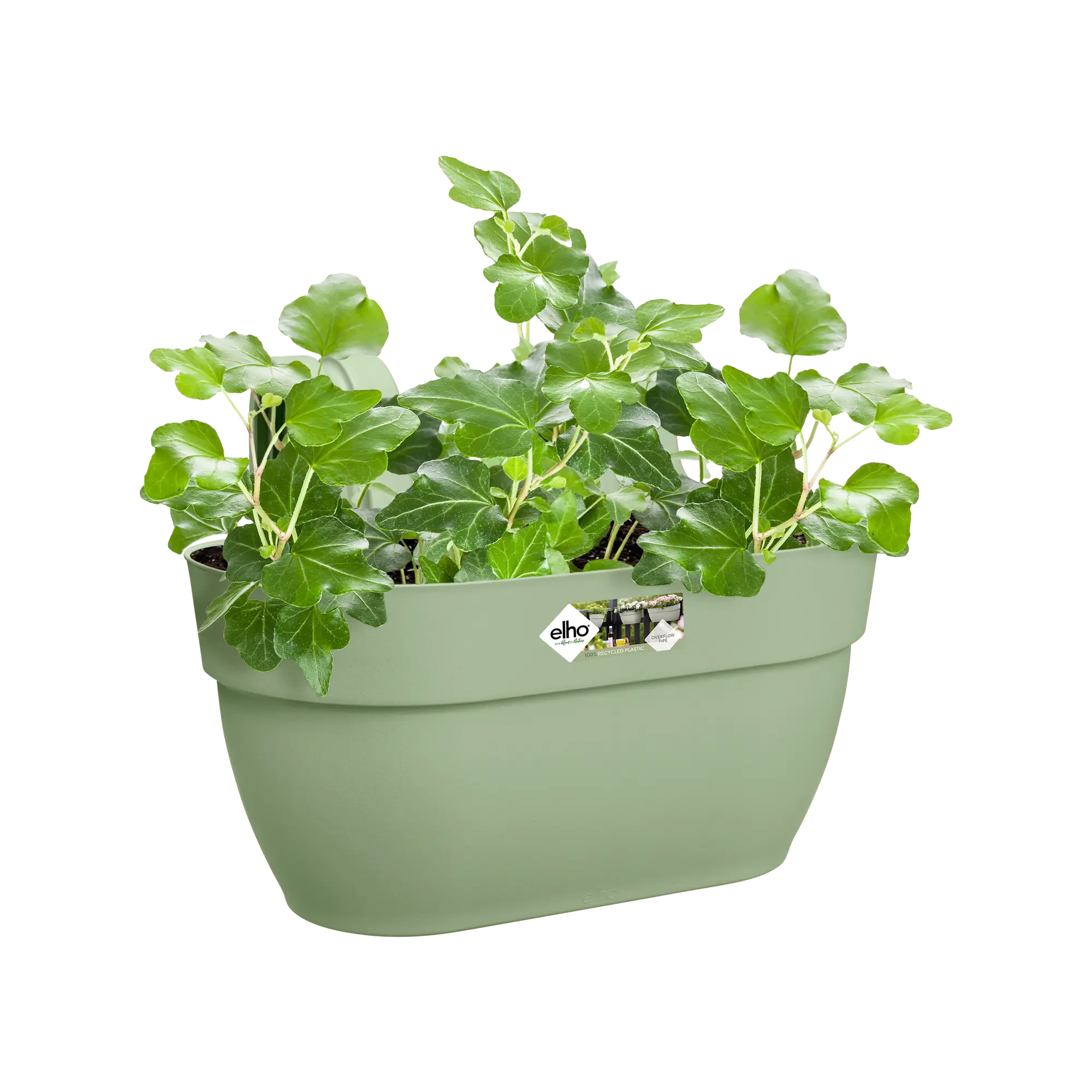 Elho Vibia Campana Easy Hanger Medium Pistachio Green - Image 5
