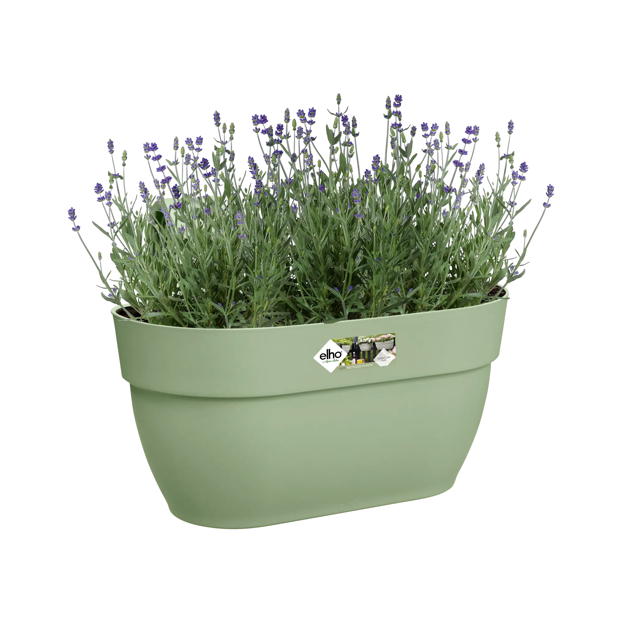 Elho Vibia Campana Easy Hanger Medium Pistachio Green - Image 6