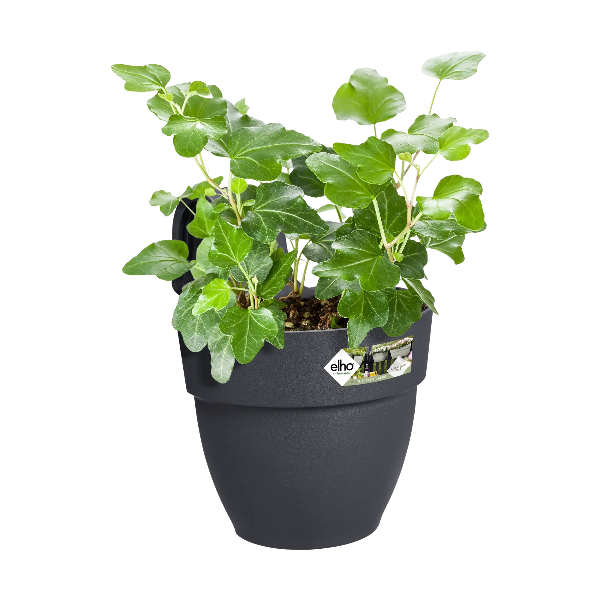Elho Vibia Campana Easy Hanger Small Anthracite - Image 5