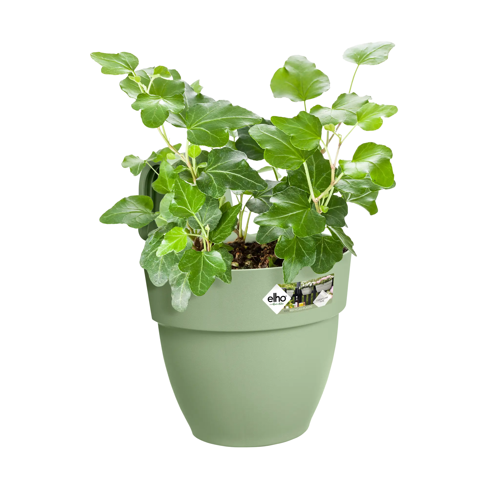 Elho Vibia Campana Easy Hanger Small Pistachio Green - Image 5