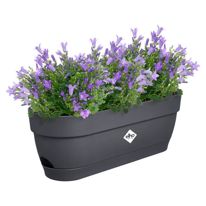 Vibia Campana Trough 50cm Anthracite - Image 2