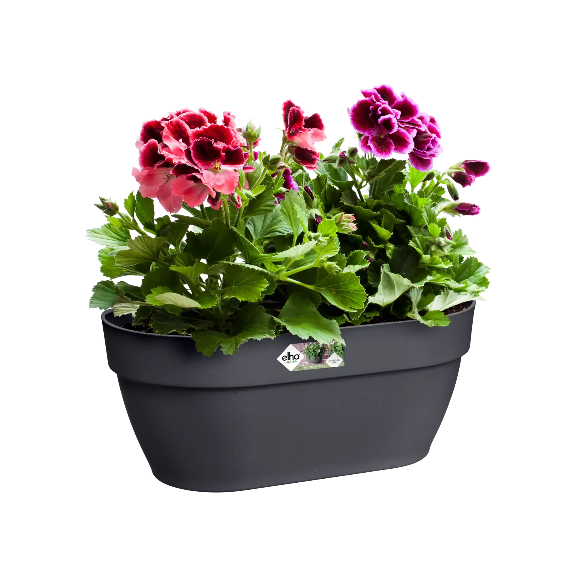 Elho Vibia Campana Wall Basket 35cm Anthracite - Image 4