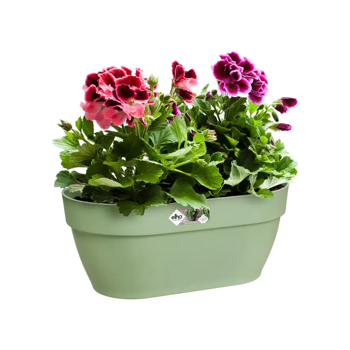 Vibia Campana Wall Basket 35cm Pistachio Green - Image 2