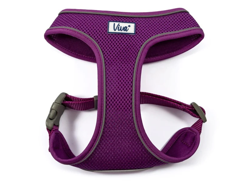 Ancol Viva Comfort Mesh Dog Harness Purple Sma