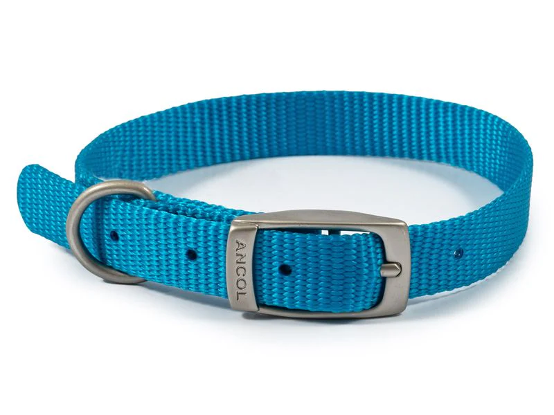 Ancol Viva Dog Collar Nylon Blue (20-26cm) Size 1