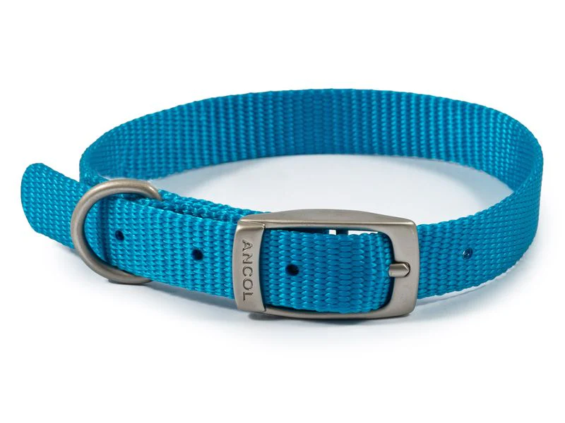 Ancol Viva Dog Collar Nylon Blue (26-31cm) Size 2