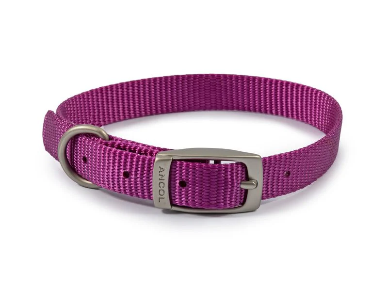 Ancol Viva Dog Collar Nylon Purple (26-31cm) Size 2