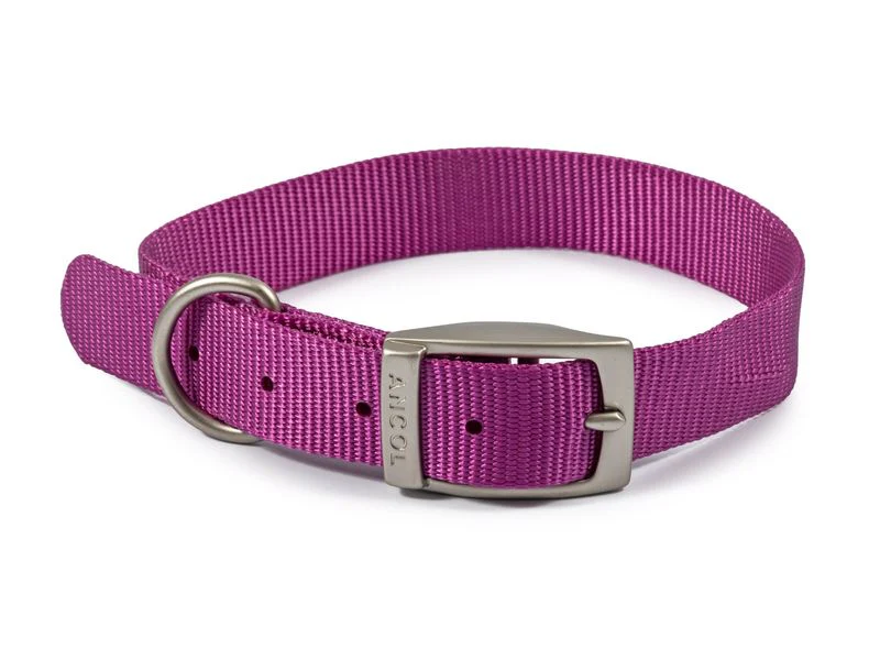Ancol Viva Dog Collar Nylon Purple (35-43cm) Size 4