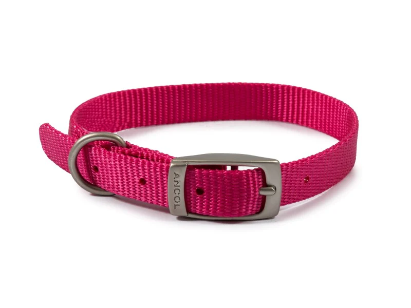 Ancol Viva Dog Collar Nylon Raspberry (20-26cm) Size 1