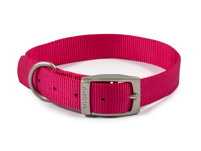 Ancol Viva Dog Collar Nylon Raspberry (35-43cm) Size 4