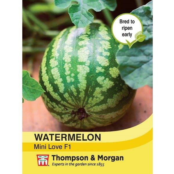Watermelon Mini Love F1