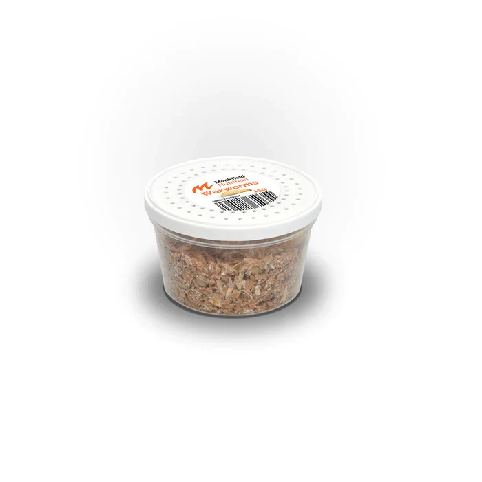 Waxmoth Larvae | Waxworms (15g Tub) - Image 2