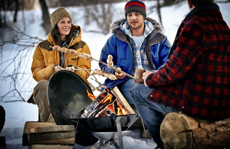 Weber Fireplace - Image 4