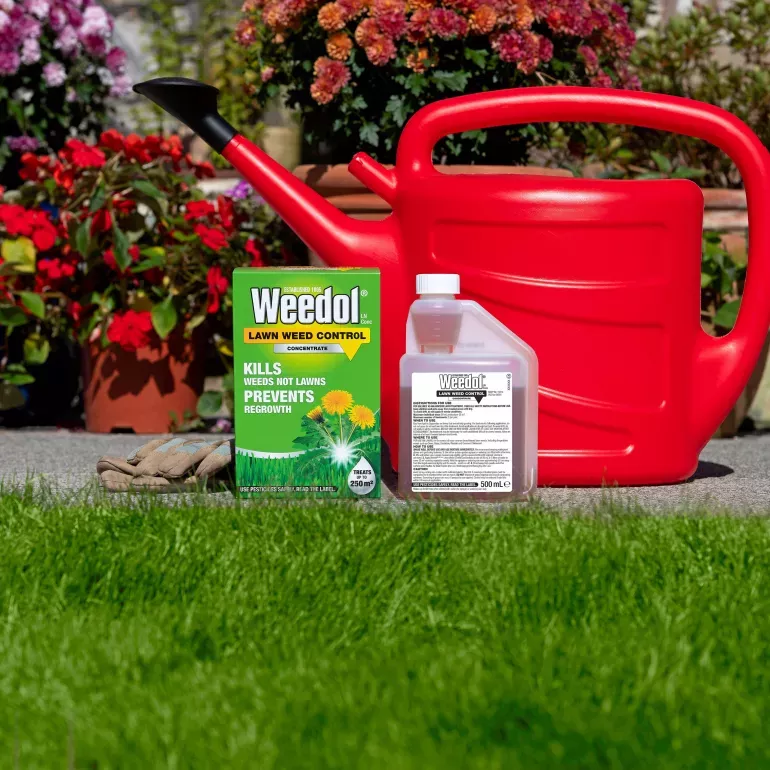 Weedol Lawn Weedkiller Concentrate 500ml New - Image 3