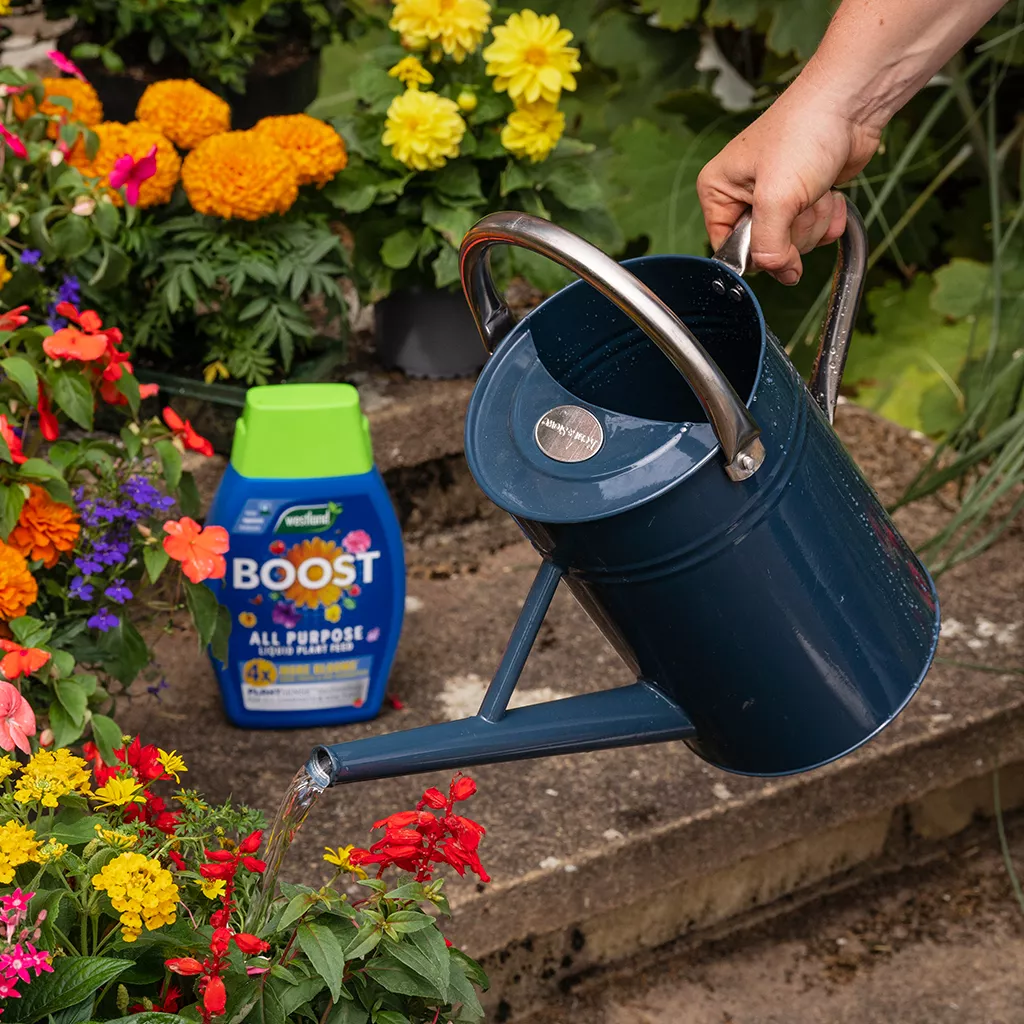 Westland Boost All Purpose Liquid Plant Feed 1L - Image 10