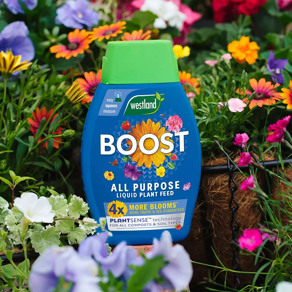 Westland Boost All Purpose Liquid Plant Feed 1L - Image 4