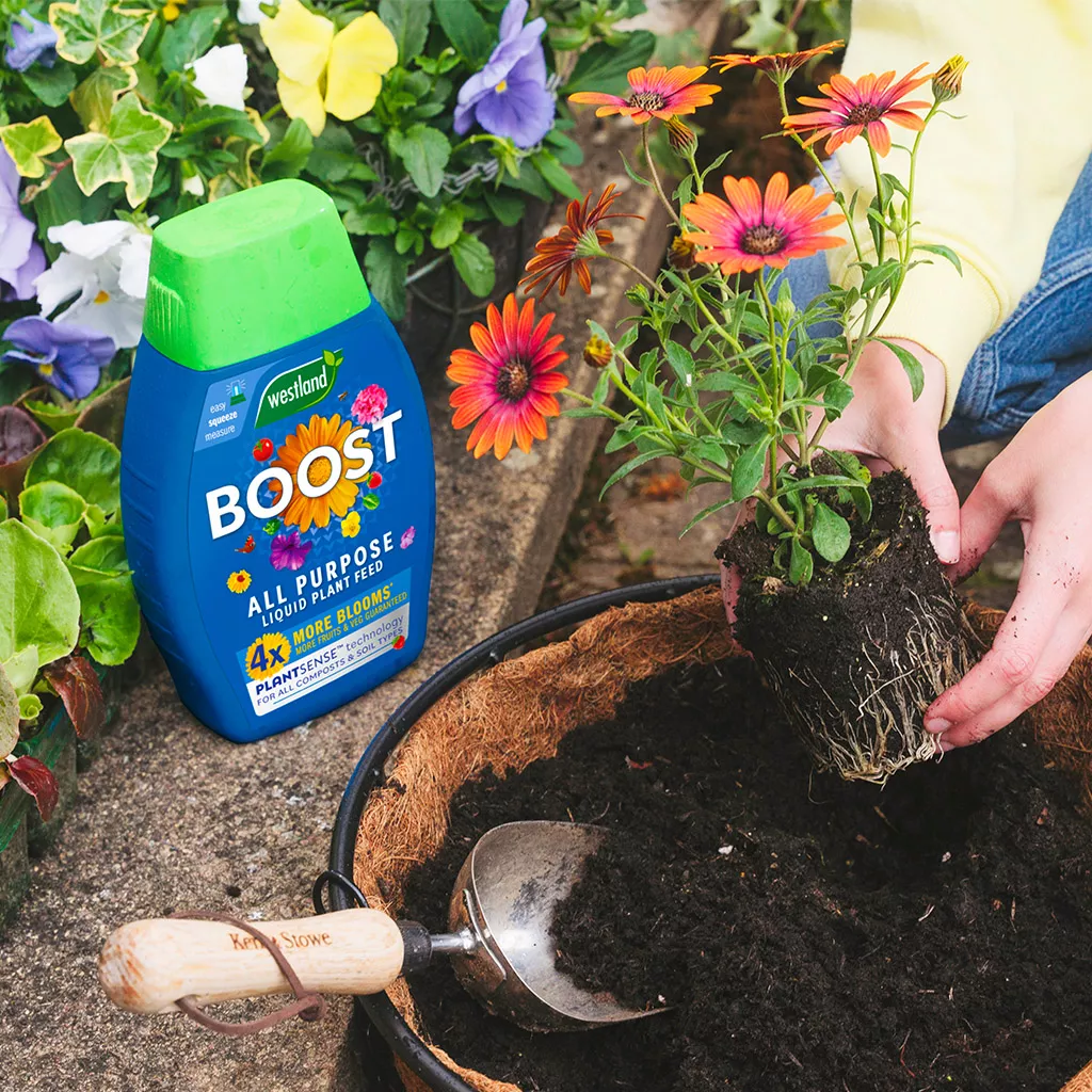 Westland Boost All Purpose Liquid Plant Feed 1L - Image 7