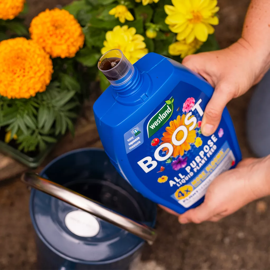 Westland Boost All Purpose Liquid Plant Feed 1L - Image 8