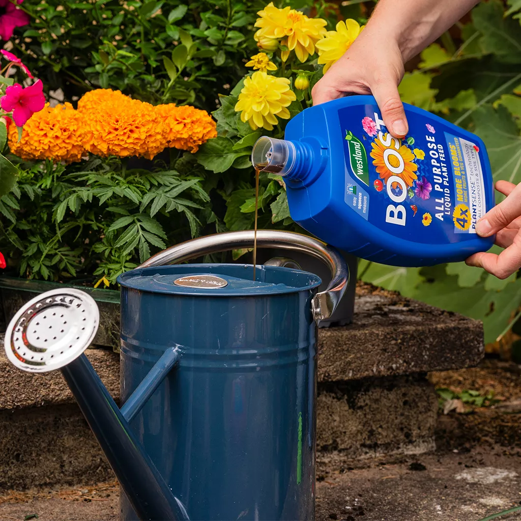 Westland Boost All Purpose Liquid Plant Feed 1L - Image 9