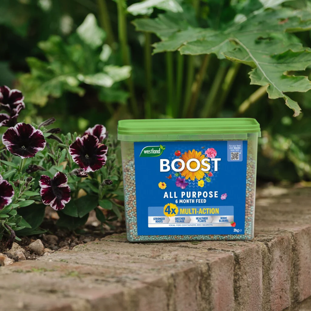 Westland Boost Slow Release Plant Food 2kg - Image 2
