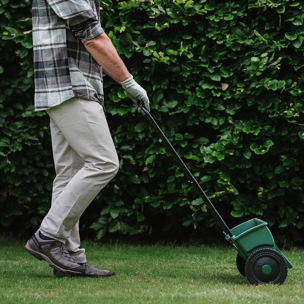 Westland Lawn Drop Spreader 41cm - Image 3