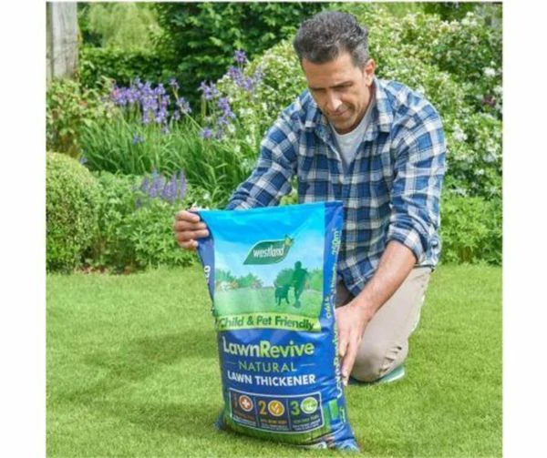Westland Lawn Revive ( Lawn Thickener) 250m2 Bag - Image 2