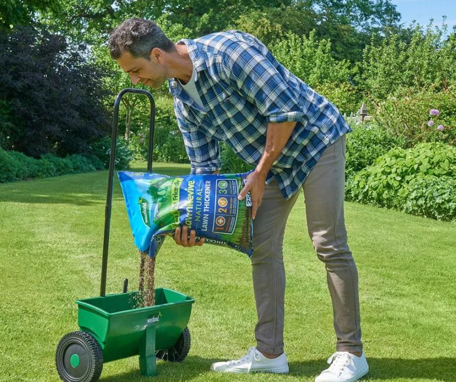 Westland Lawn Revive ( Lawn Thickener) 250m2 Bag - Image 3